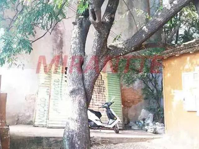 Terreno / Lote para Venda em São Paulo/SP Casa Verde