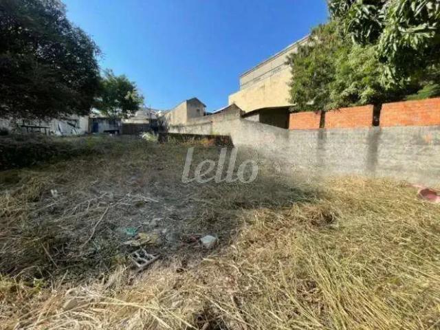 Terreno / Lote para Venda em São Paulo/SP Casa Verde