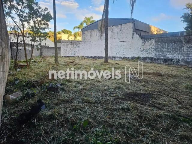 Terreno / Lote para Venda em São Paulo/SP Caxingui