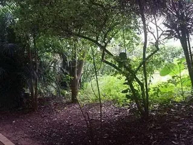 Terreno / Lote para Venda em São Paulo/SP Chora Menino 2 Quartos