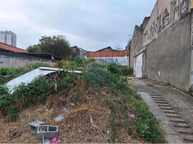 Terreno / Lote para Venda em São Paulo/SP Chora Menino