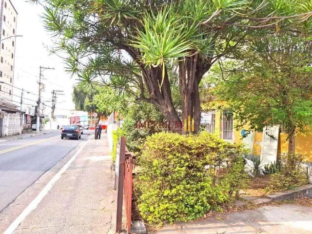 Terreno / Lote para Venda em São Paulo/SP Chora Menino