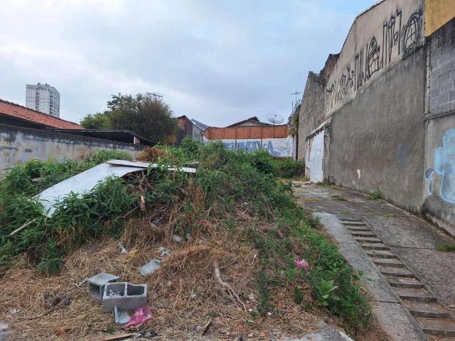 Terreno / Lote para Venda em São Paulo/SP Chora Menino