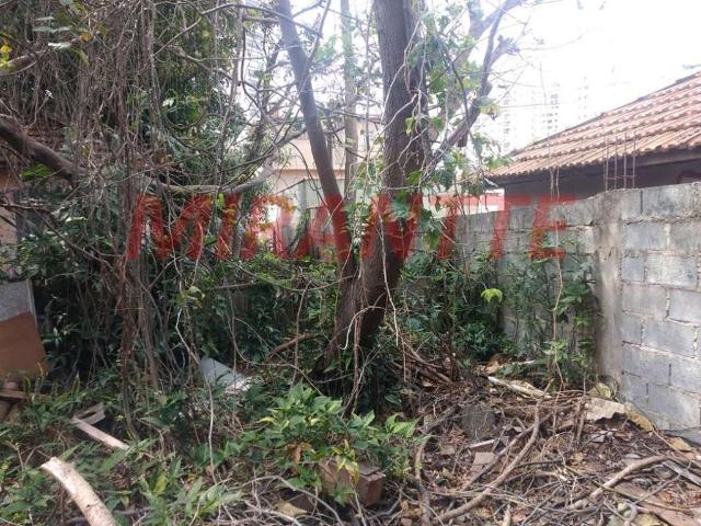 Terreno / Lote para Venda em São Paulo/SP Chora Menino