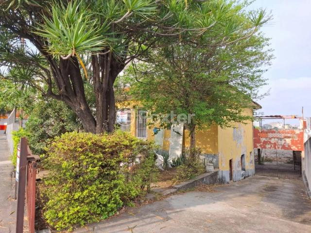 Terreno / Lote para Venda em São Paulo/SP Chora Menino