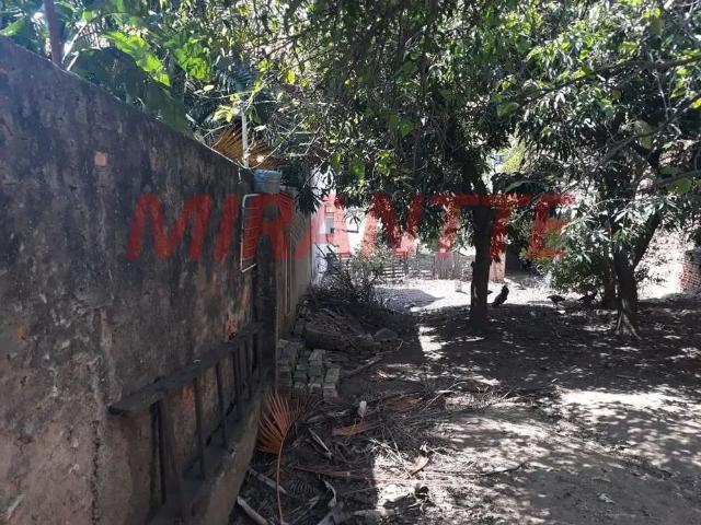 Terreno / Lote para Venda em São Paulo/SP Chora Menino
