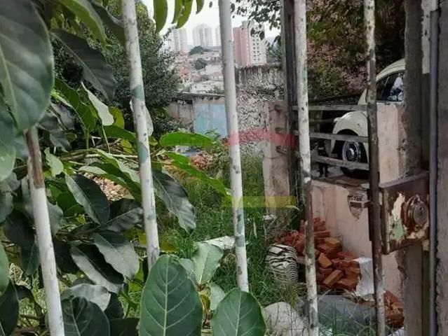 Terreno / Lote para Venda em São Paulo/SP Chora Menino