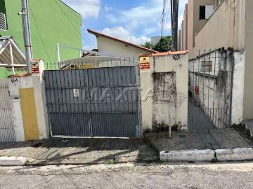 Terreno / Lote para Venda em São Paulo/SP Chora Menino
