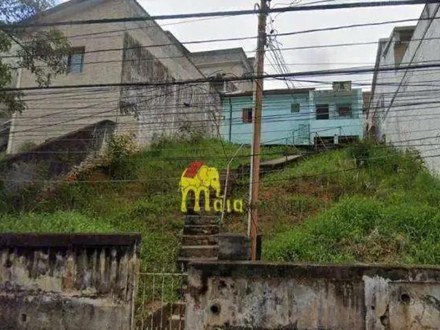 Terreno / Lote para Venda em São Paulo/SP Chora Menino