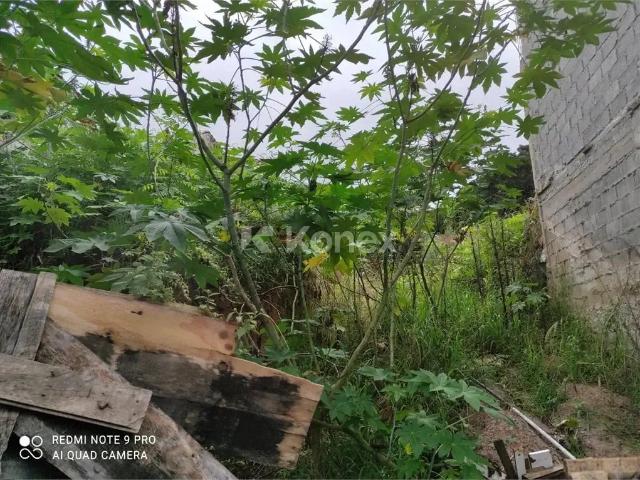 Terreno / Lote para Venda em São Paulo/SP Chora Menino