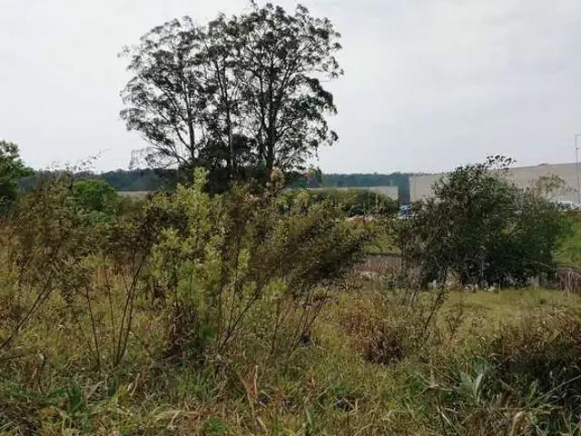 Terreno / Lote para Venda em São Paulo/SP Chácara Maria Trindade