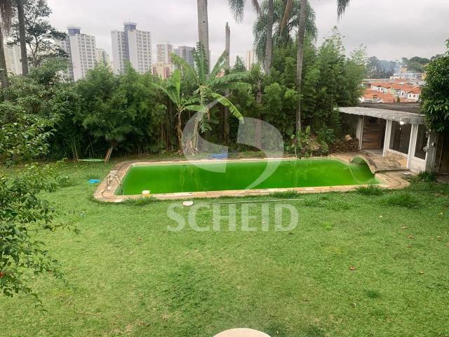 Terreno / Lote para Venda em São Paulo/SP Chácara Monte Alegre