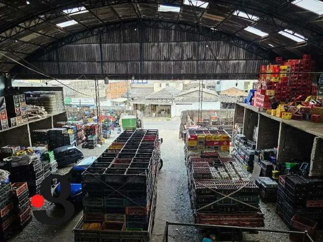 Terreno / Lote para Venda em São Paulo/SP Chácara Belenzinho 1 Quartos