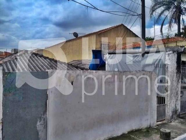 Terreno / Lote para Venda em São Paulo/SP Chácara Belenzinho