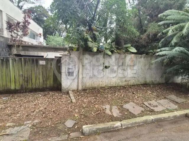 Terreno / Lote para Venda em São Paulo/SP Chácara Flora