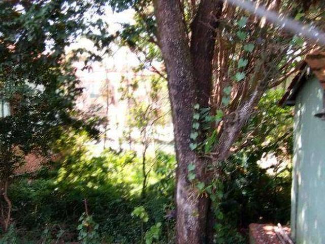 Terreno / Lote para Venda em São Paulo/SP Chácara Inglesa