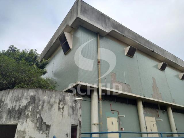 Terreno / Lote para Venda em São Paulo/SP Chácara Santo Antônio