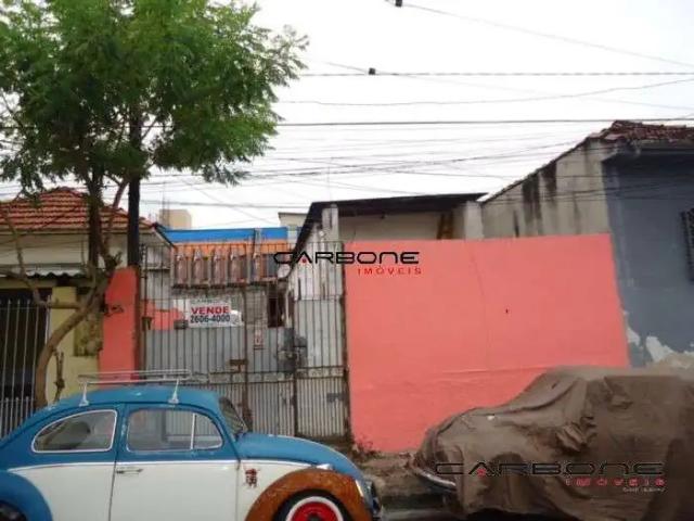 Terreno / Lote para Venda em São Paulo/SP Chácara Santo Antônio Zona Leste