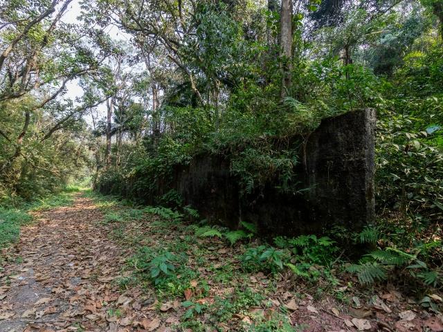 Terreno / Lote para Venda em São Paulo/SP Chácara Vista Alegre