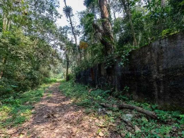 Terreno / Lote para Venda em São Paulo/SP Chácara Vista Alegre