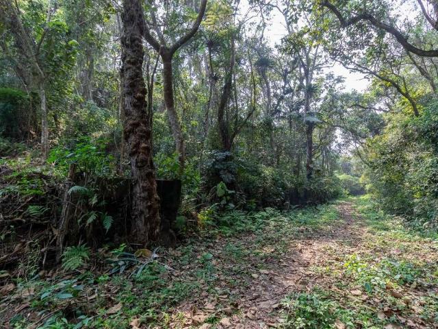 Terreno / Lote para Venda em São Paulo/SP Chácara Vista Alegre