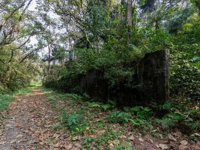Terreno / Lote para Venda em São Paulo/SP Chácara Vista Alegre