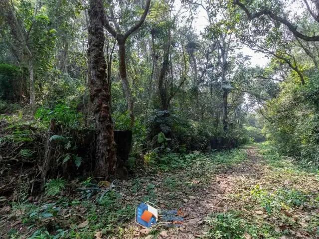 Terreno / Lote para Venda em São Paulo/SP Chácara Vista Alegre 1 Quartos