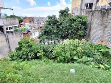 Terreno / Lote para Venda em São Paulo/SP Cidade Ademar