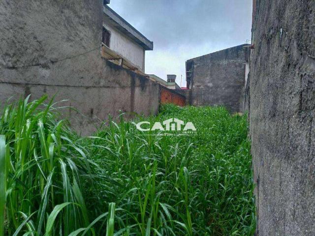 Terreno / Lote para Venda em São Paulo/SP Cidade Líder