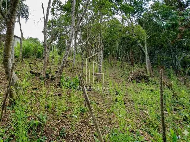 Terreno / Lote para Venda em São Paulo/SP Cidade Luz