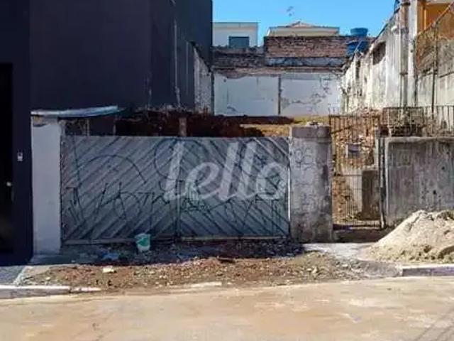 Terreno / Lote para Venda em São Paulo/SP Cidade Mãe do Céu