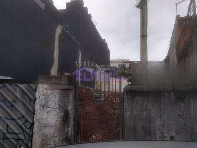 Terreno / Lote para Venda em São Paulo/SP Cidade Mãe do Céu