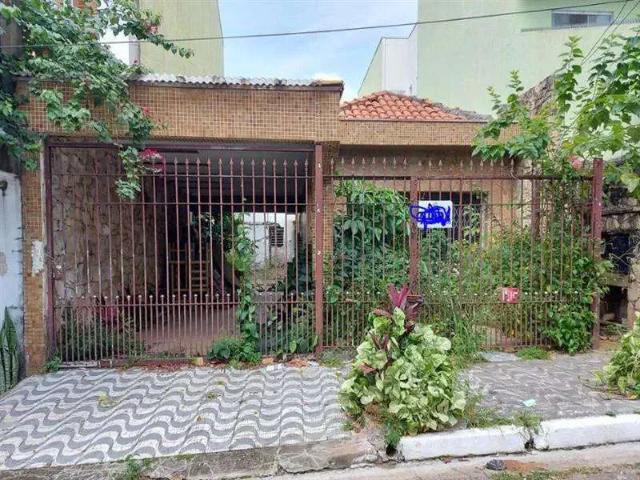 Terreno / Lote para Venda em São Paulo/SP Cidade Mãe do Céu