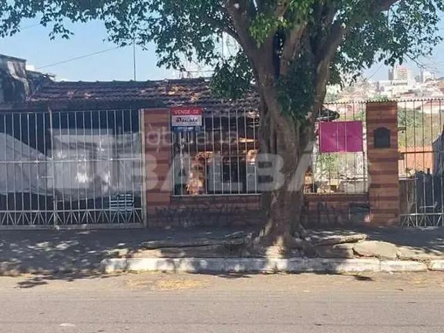 Terreno / Lote para Venda em São Paulo/SP Cidade Mãe do Céu