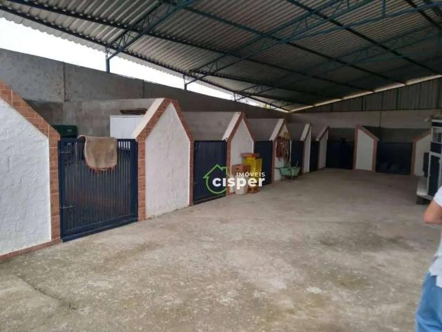 Terreno / Lote para Venda em São Paulo/SP Cidade Mãe do Céu