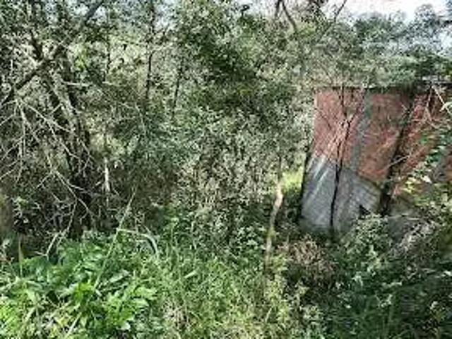 Terreno / Lote para Venda em São Paulo/SP Cidade Nova América
