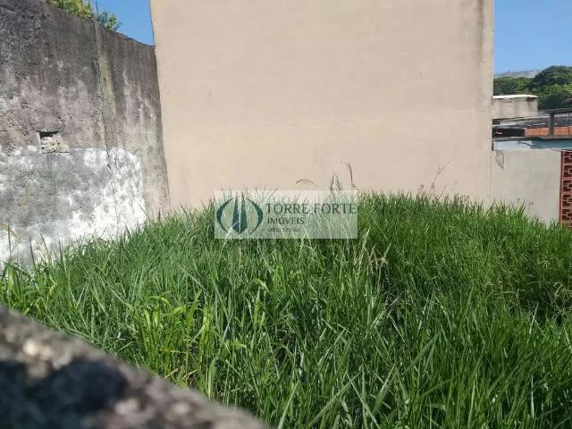 Terreno / Lote para Venda em São Paulo/SP Cidade São Mateus