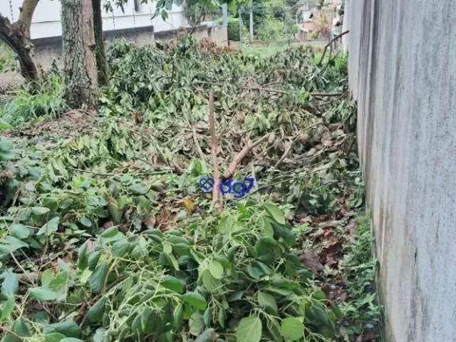 Terreno / Lote para Venda em São Paulo/SP Cidade São Francisco