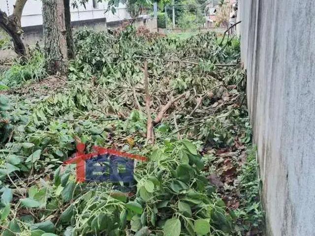 Terreno / Lote para Venda em São Paulo/SP Vila São Francisco