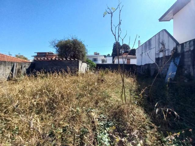 Terreno / Lote para Venda em São Paulo/SP Cidade São Francisco