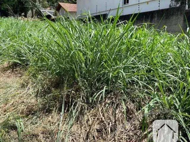 Terreno / Lote para Venda em São Paulo/SP Cidade São Francisco