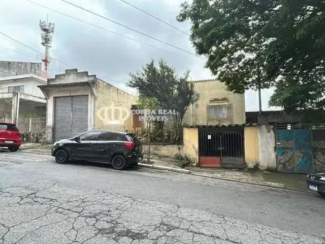 Terreno / Lote para Venda em São Paulo/SP Cidade Patriarca