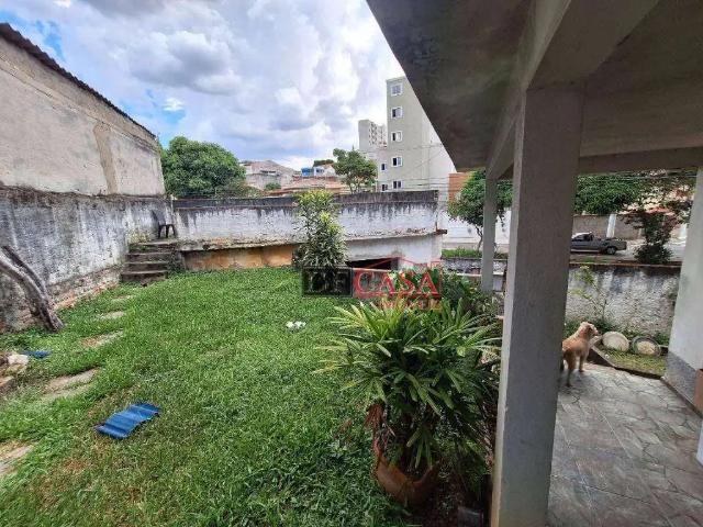 Terreno / Lote para Venda em São Paulo/SP Cidade Patriarca