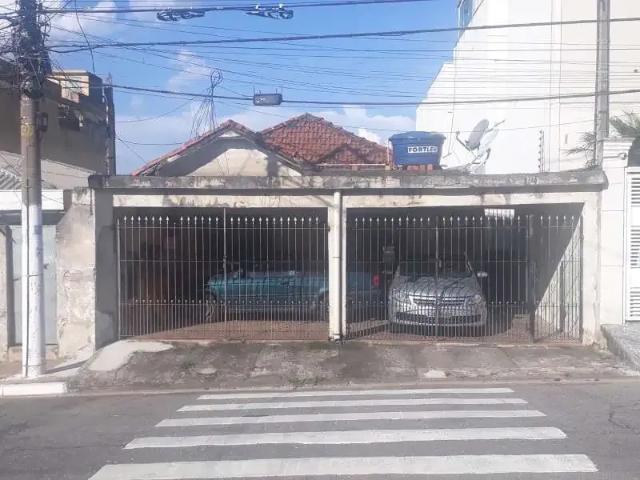 Terreno / Lote para Venda em São Paulo/SP Cidade Patriarca