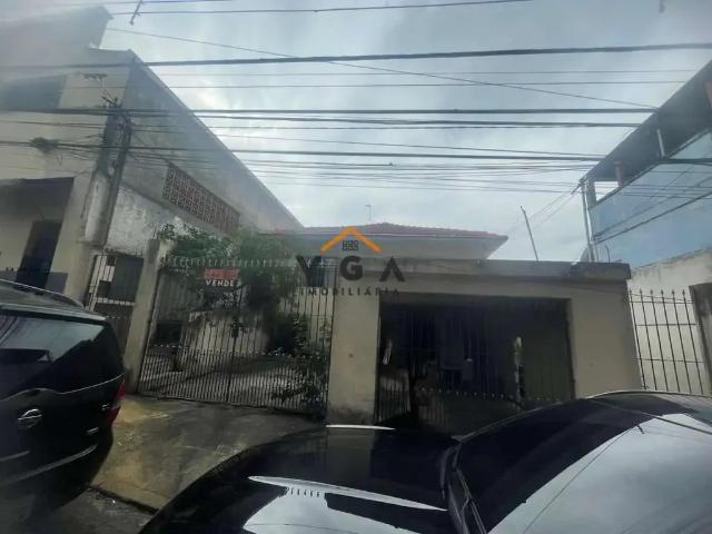Terreno / Lote para Venda em São Paulo/SP Cidade Patriarca