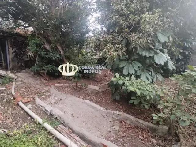 Terreno / Lote para Venda em São Paulo/SP Cidade Patriarca