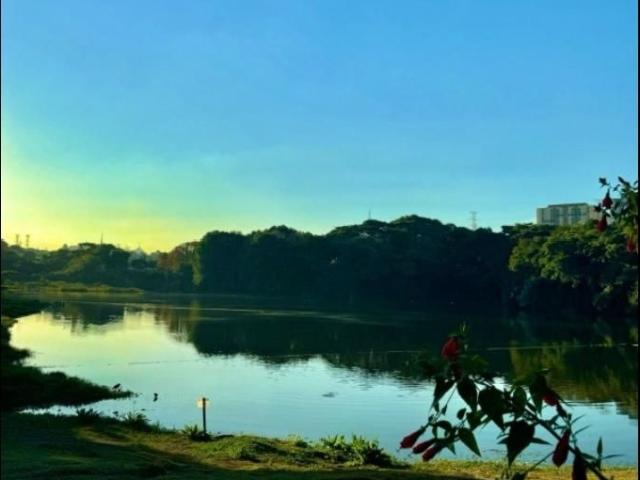 Terreno / Lote para Venda em São Paulo/SP City América