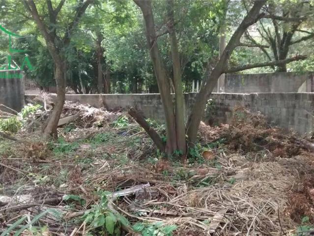 Terreno / Lote para Venda em São Paulo/SP City América