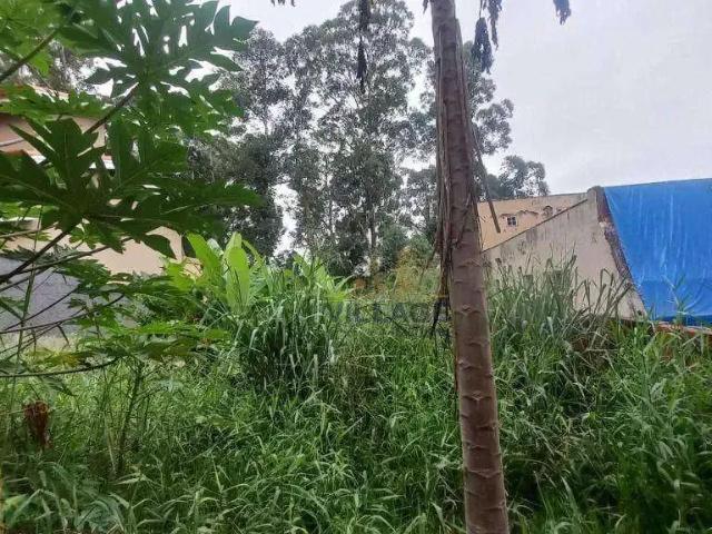 Terreno / Lote para Venda em São Paulo/SP City América