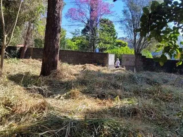 Terreno / Lote para Venda em São Paulo/SP City América